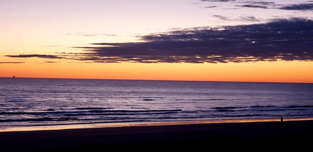 Beachfront Sanctuary Apartment South Padre Island Exterior foto